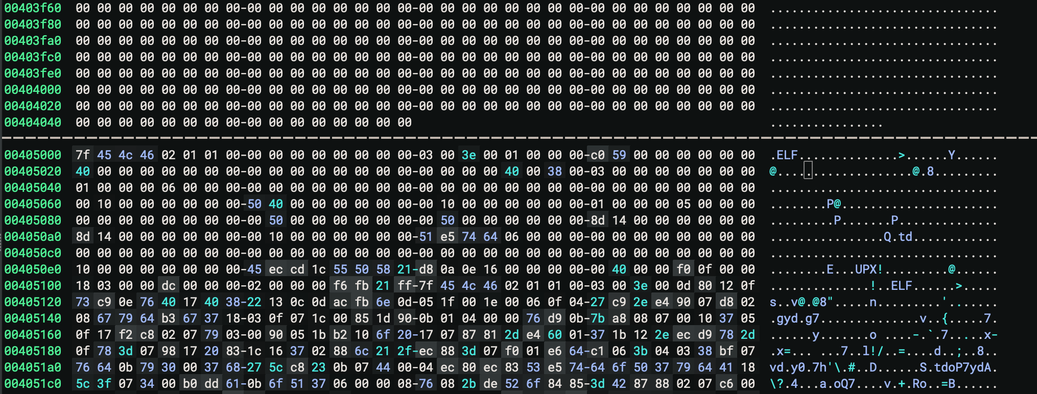 Hex editor view of binary headers